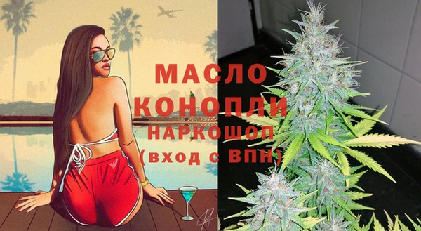 мдпв Каменногорск