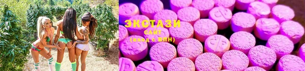 мдпв Каменногорск