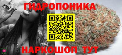 шишки Коммунар