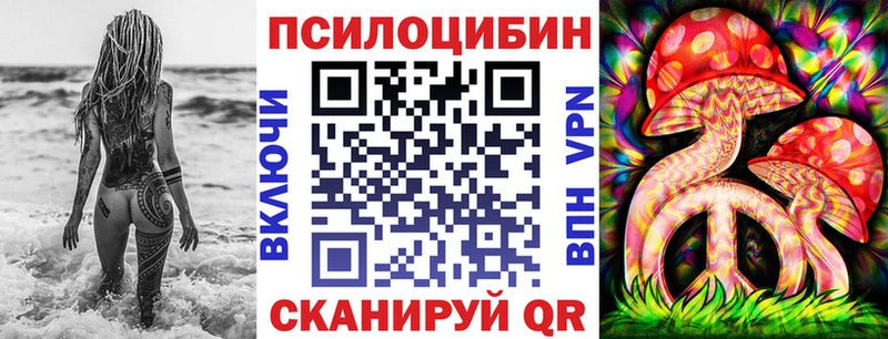 даркнет сайт  darknet как зайти  Галлюциногенные грибы мицелий  Кизляр 