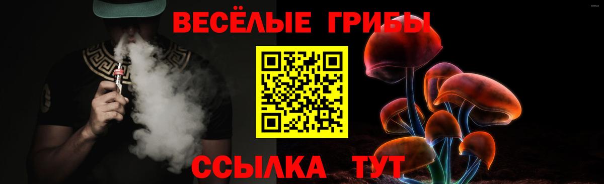 Псилоцибиновые грибы Psilocybine cubensis  Вход с VPN  Кизляр 